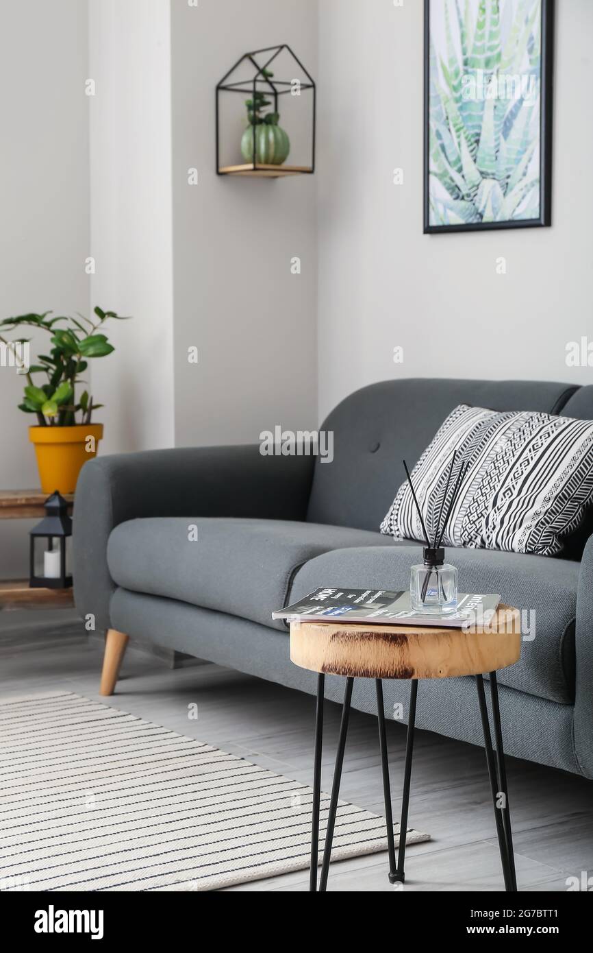 Interior of stylish living room with comfortable sofa Stock Photo - Alamy