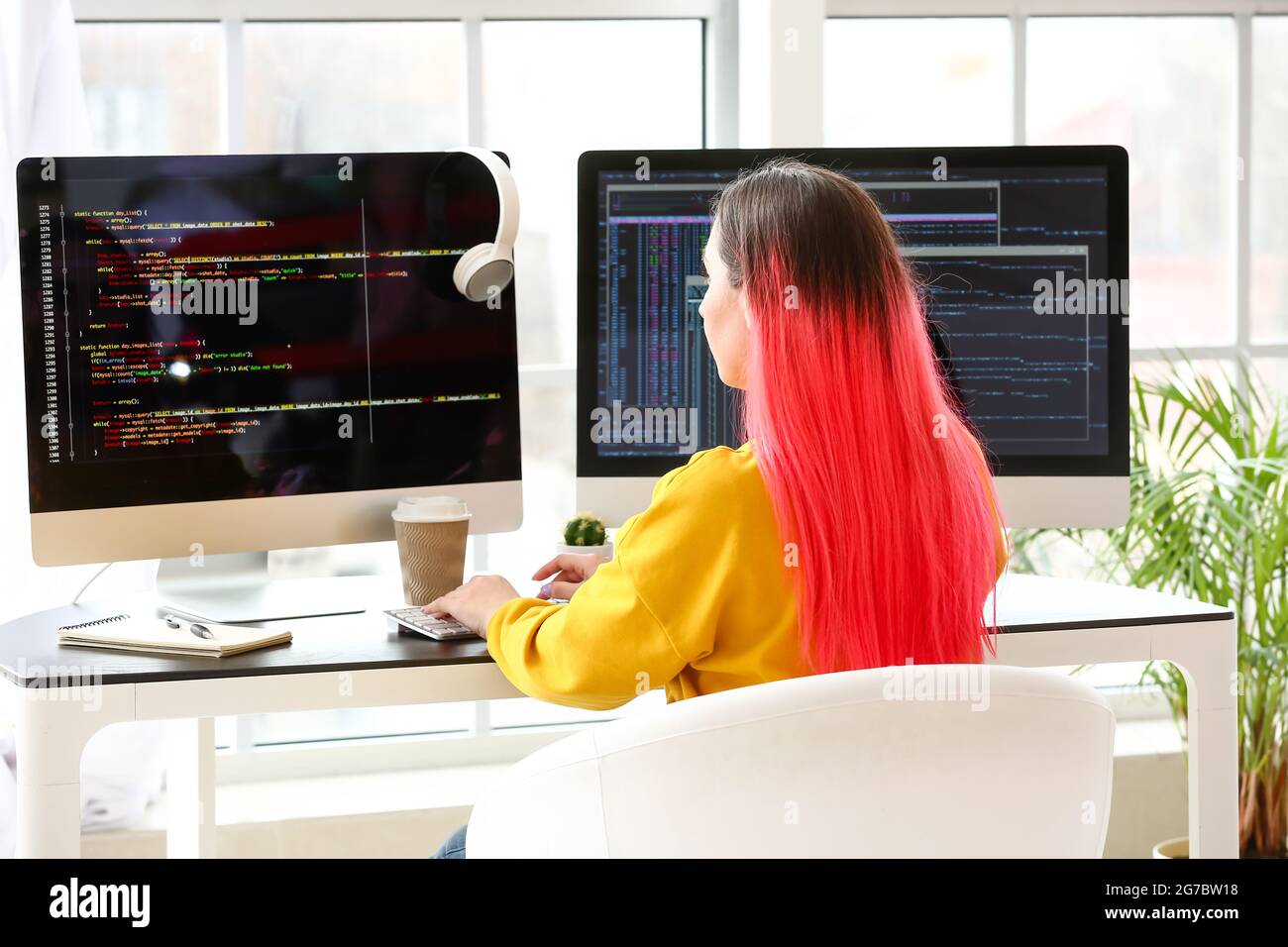 Female programmer working with computer in office Stock Photo - Alamy