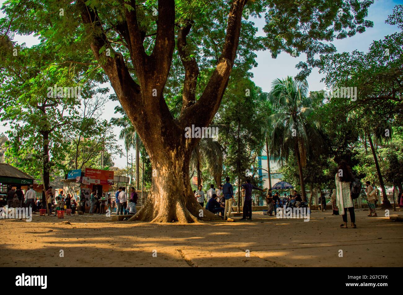 Hakim chattar campus of Dhaka university.This very significant place for students. Stock Photo