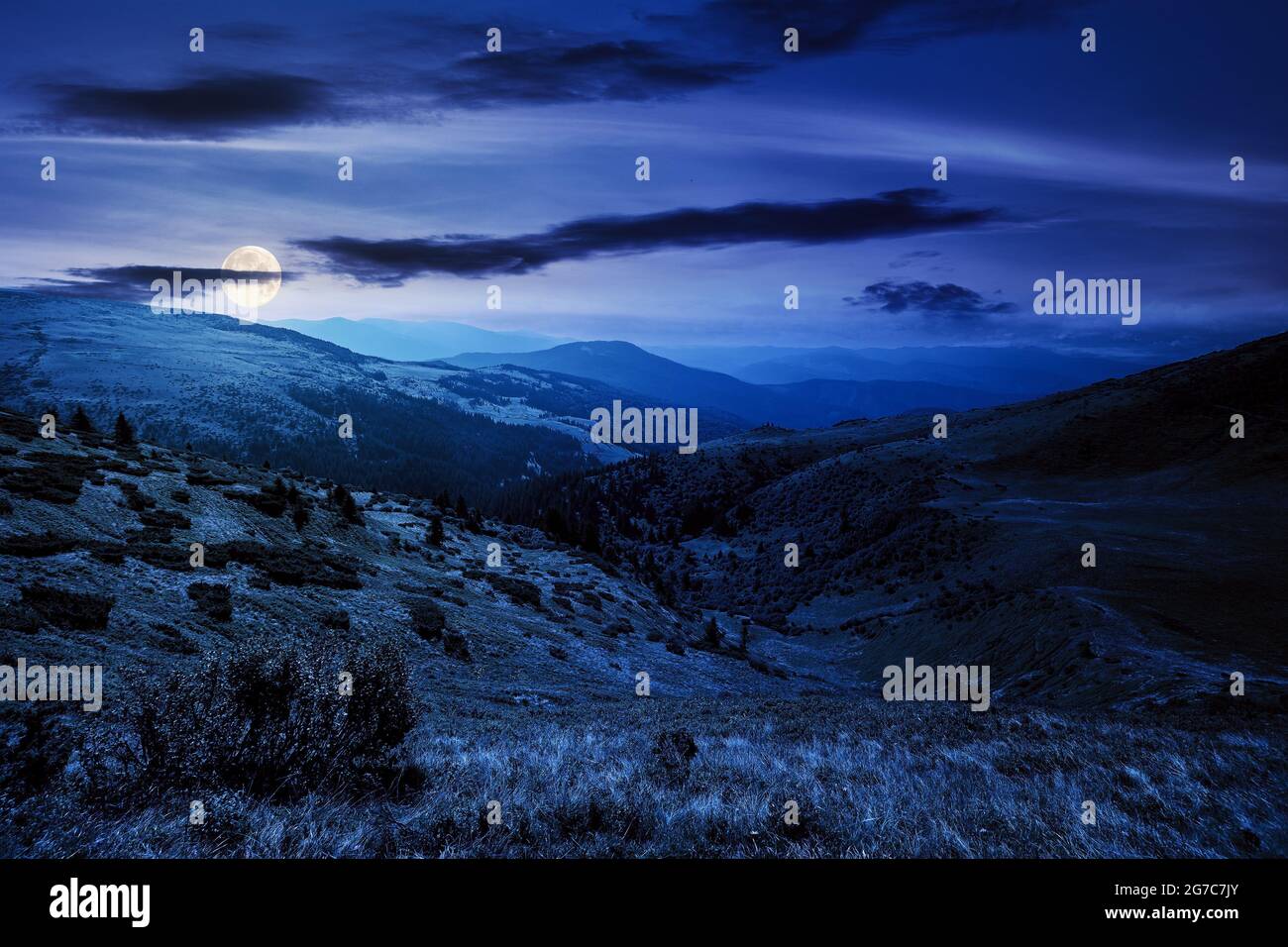carpathian mountain landscape at night. beatiful scenery with green rolling hills in full moon light beneath a clouds on a dark sky in summer. popular Stock Photo