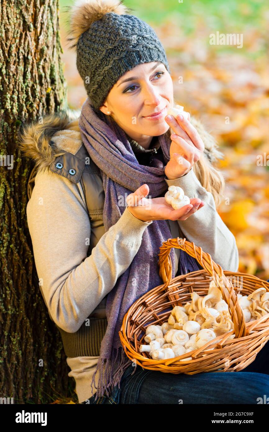 Woman collecting mushrooms in basket Stock Photo Alamy