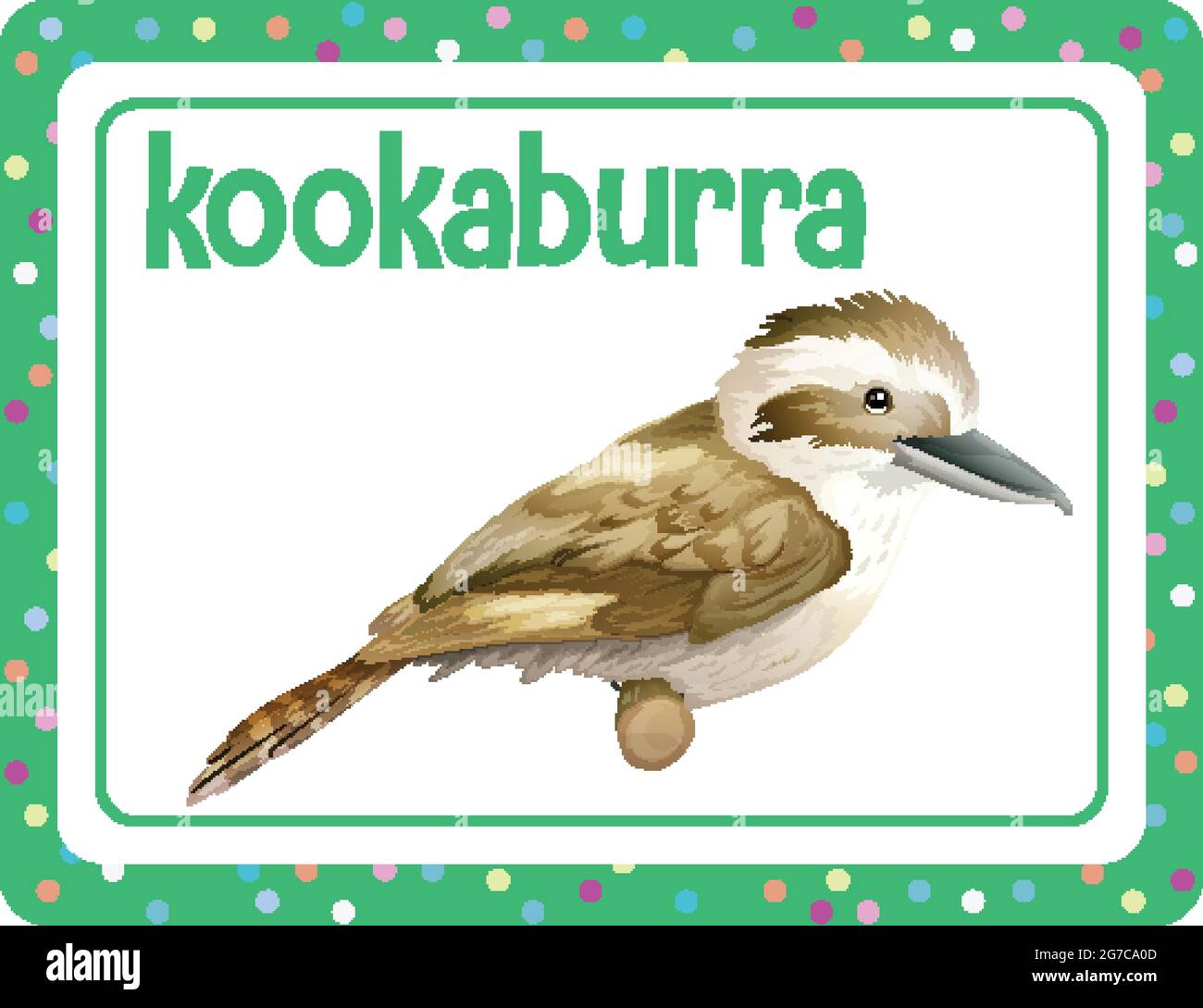 Vocabulary flashcard with word Kookaburra illustration Stock Vector