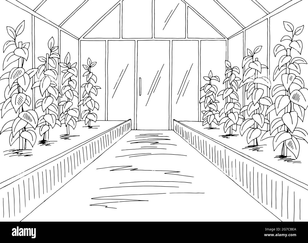 Greenhouse interior graphic black white sketch illustration vector Stock Vector