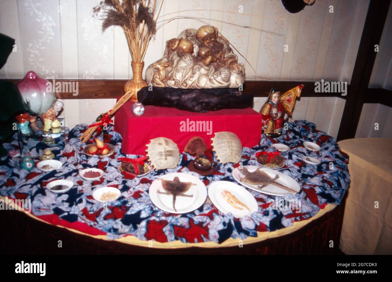Schildkröte als Spezialität in einem landestypischen Restaurant in Peking, China 1998. Tortoise as a special dish in an original Chinese resaturant at Beijing, China 1998. Stock Photo