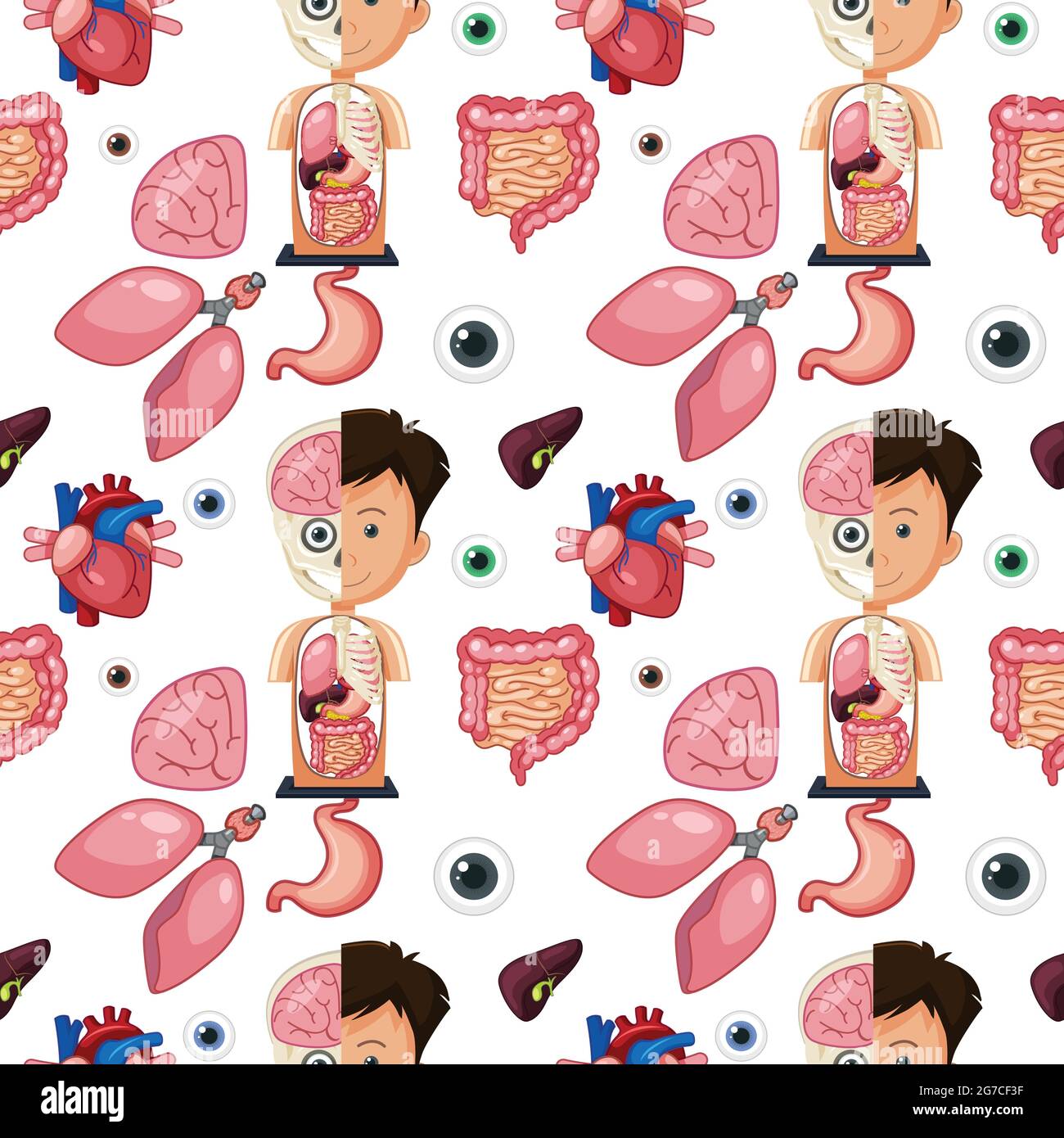 Human body parts anatomy seamless background illustration Stock Vector