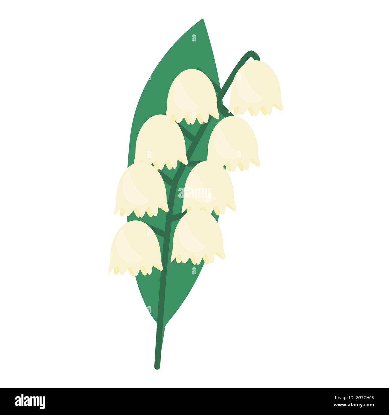lily of the valley icon isolated vector illustration. may lily flower ...