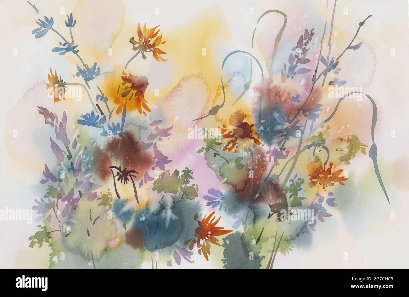 Summer Meadow Watercolor Floral Collection