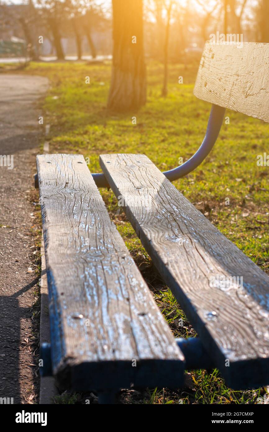 Old wooden park bench close-up on blurred green nature background