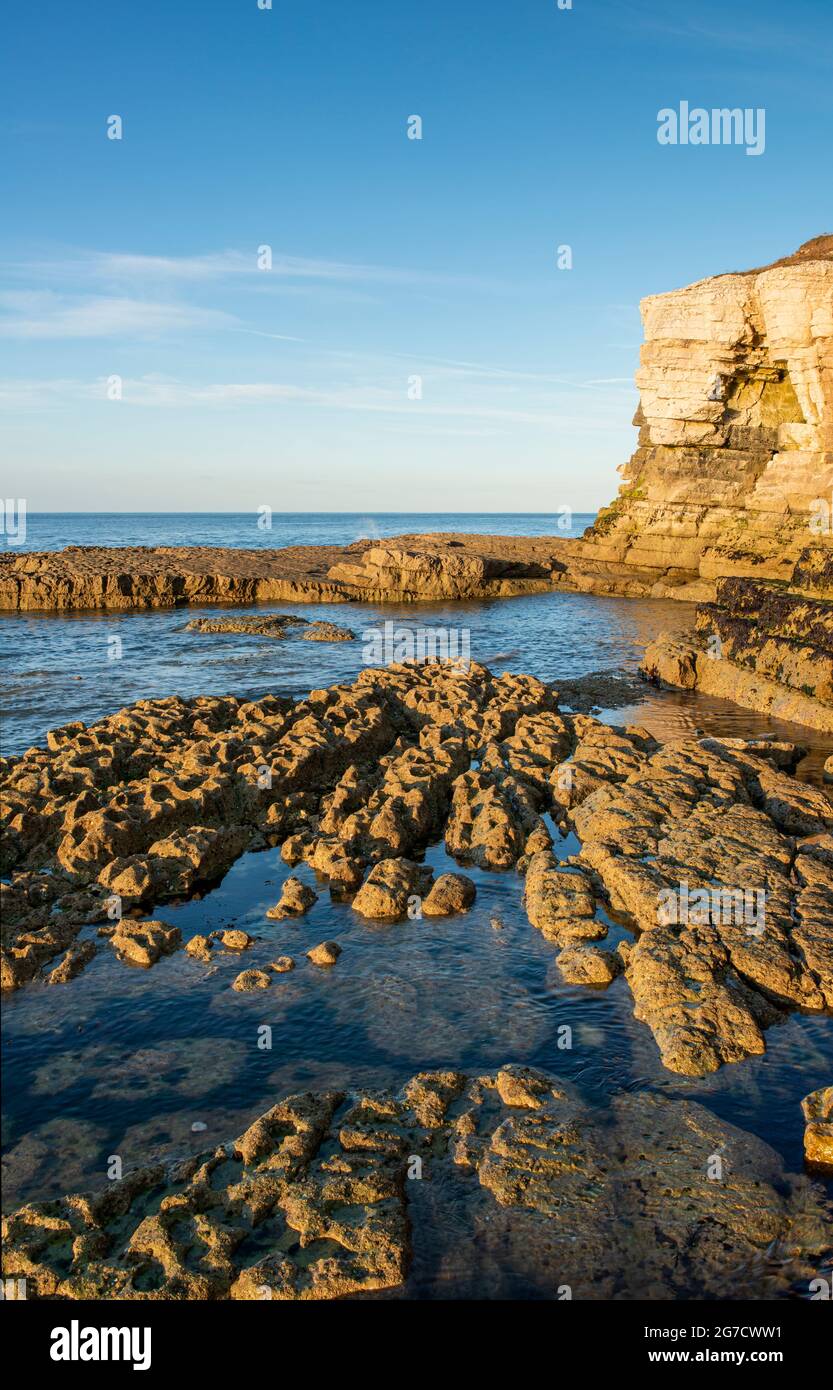 Thornwick Bay Hi res Stock Photography And Images Alamy thornwick-bay-hi-res-stock-photography-and-images-alamy