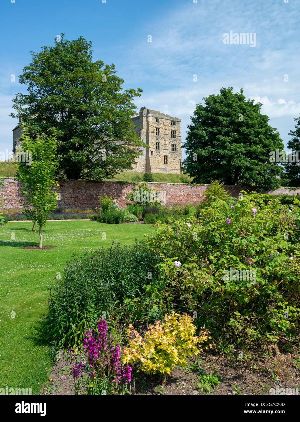 Flowers in Helmsley Walled Garden Stock Photo Alamy