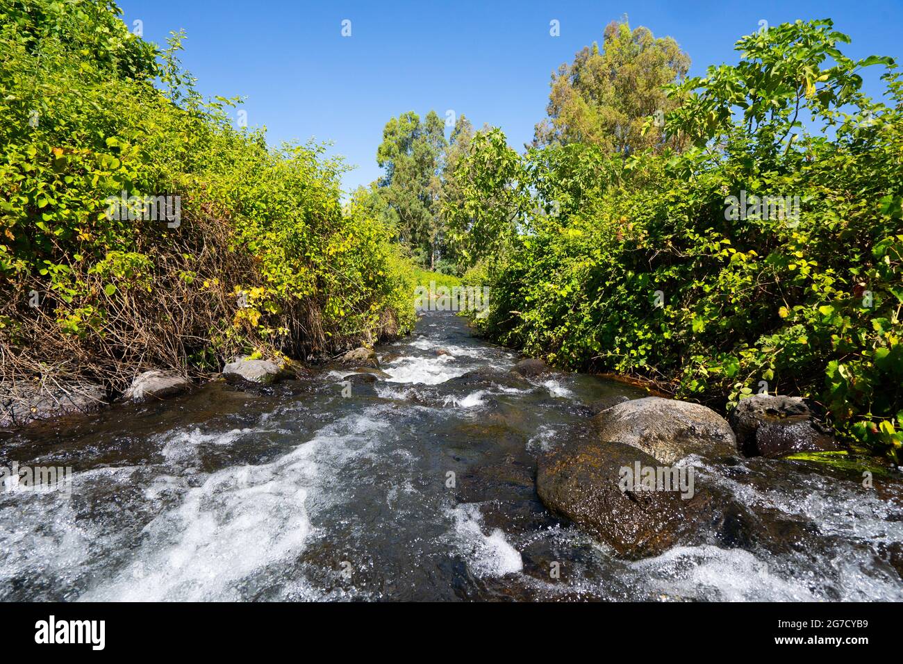 Northern streams in israel hi-res stock photography and images - Alamy