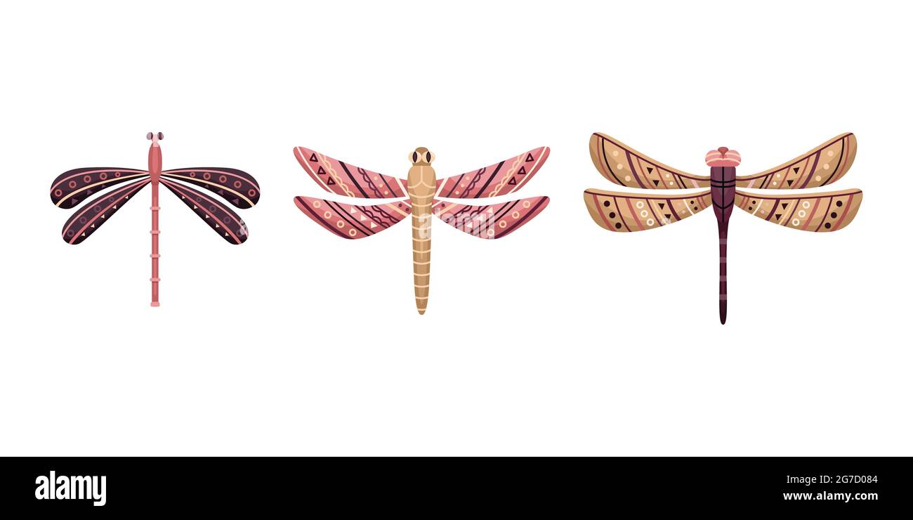Vector set of flat dragonflies in boho style. Flat illustration. Stock Vector