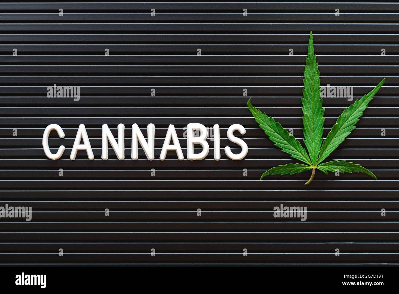 Cannabis text lettering and green hemp leaf on black striped background ...