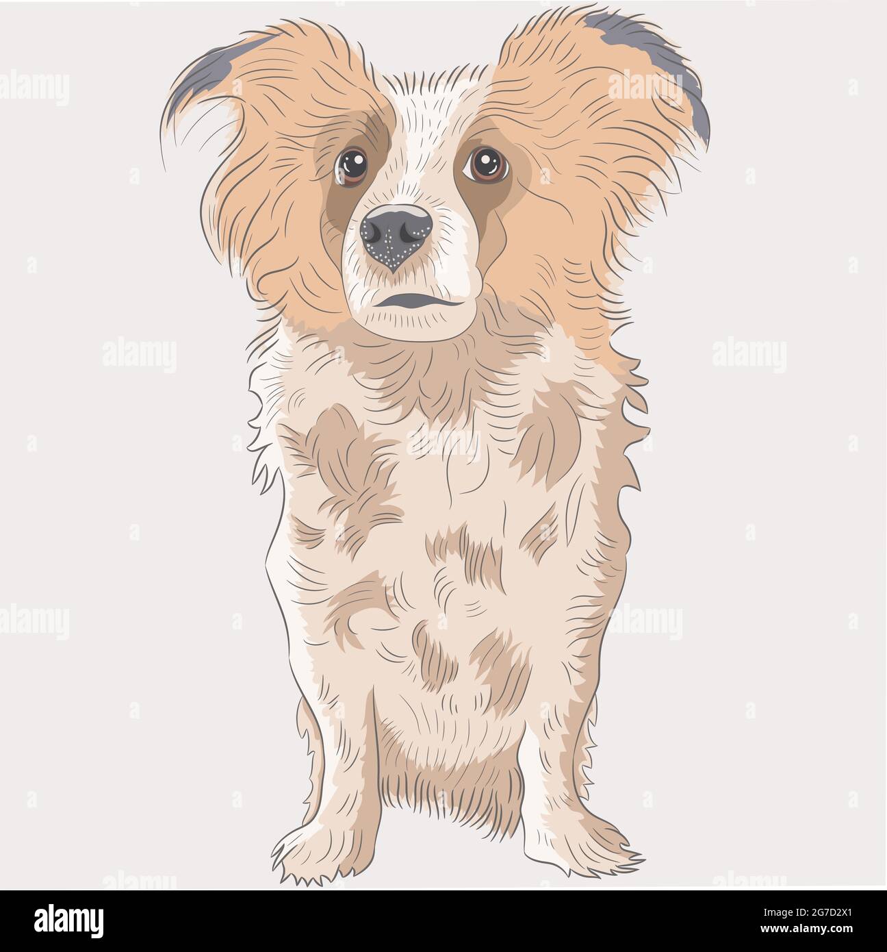 Dog of unknown breed isolated on white background. Stock Vector