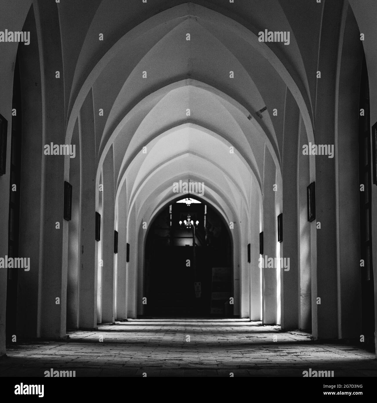 Inside the palace Black and White Stock Photos & Images - Alamy