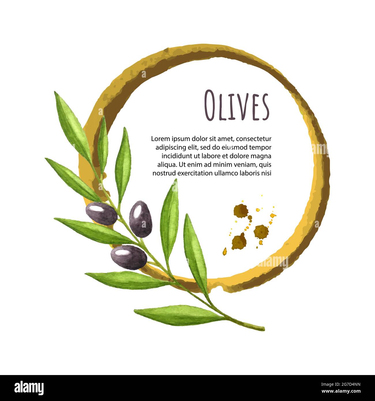 Template for label, logo, banner, postcard, vector watercolor, branch of olives with a round spot, place for an inscription, hand drawing. Vector illustration Stock Vector