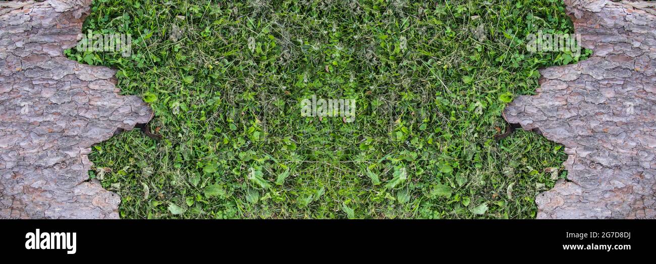 Tree Greenery Tileable Texture Green grass seamless tileable texture hi-res stock photography and ...