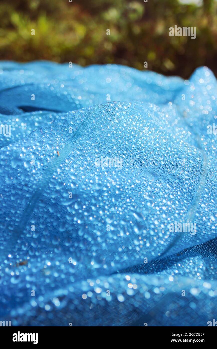 Rainsnets Raindrops on net while rainy season Stock Photo - Alamy