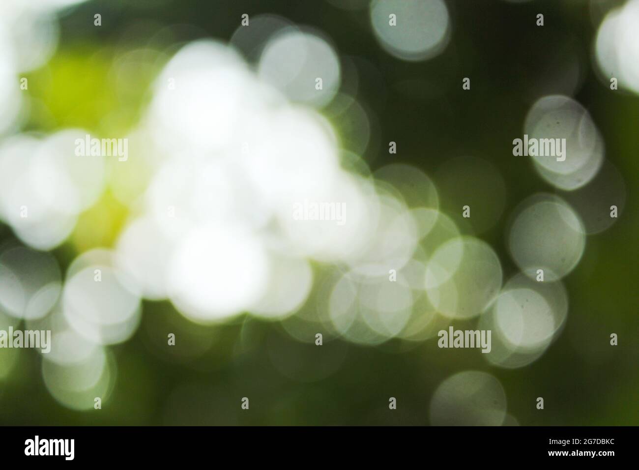 Blur background image Stock Photo