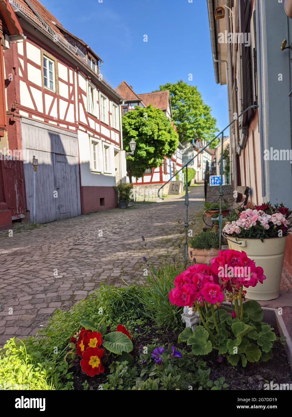 A sunlit vibrant and colourful half-timbered alley in the old town of Idstein in summer, Hessen, Germany, Europe. Bunte Fachwerkstrasse in Idstein. Stock Photo