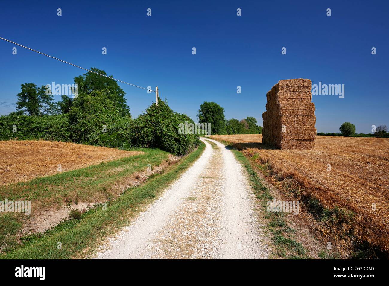 Crevalcore (Bo), Italy, a landscape of the countryside Stock Photo