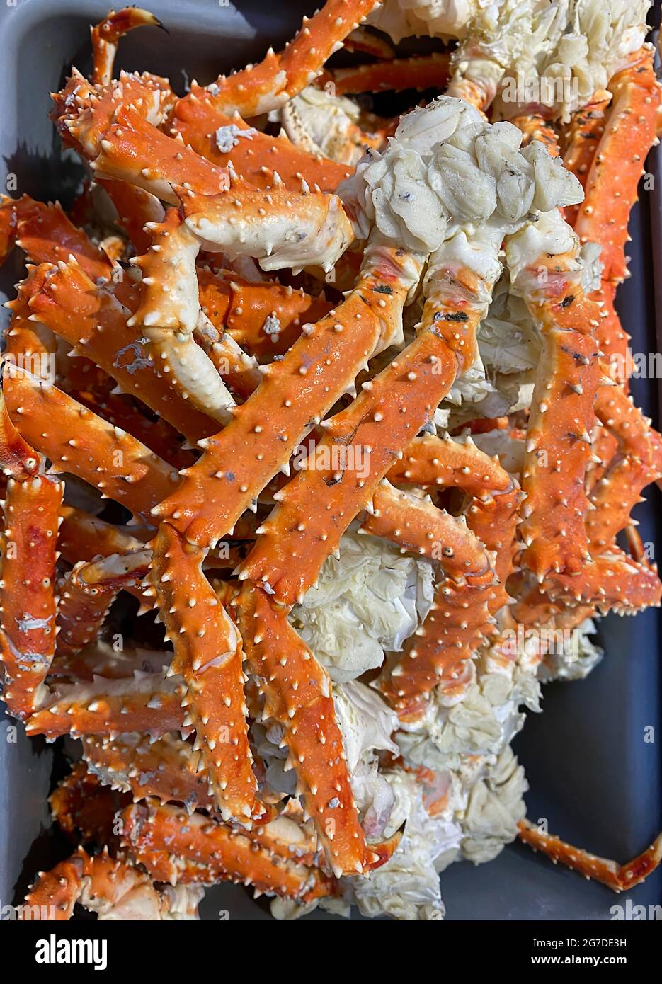 Kamchatka crab hires stock photography and images Alamy