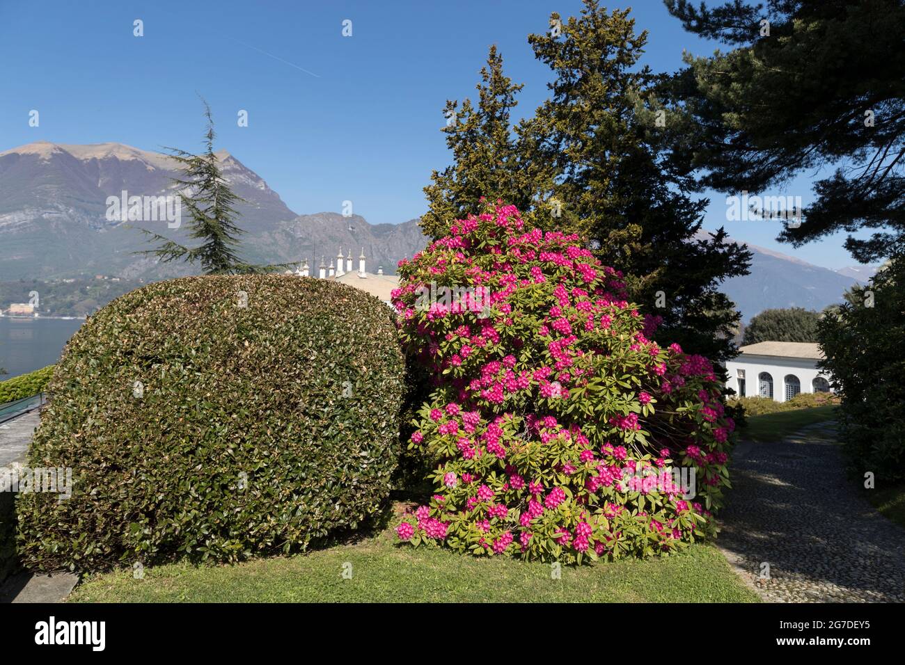 Private garden of the historic villa Villa Melzi d'Eril, Bellagio, Como Lake, Lombardy, Italy, Europe Stock Photo