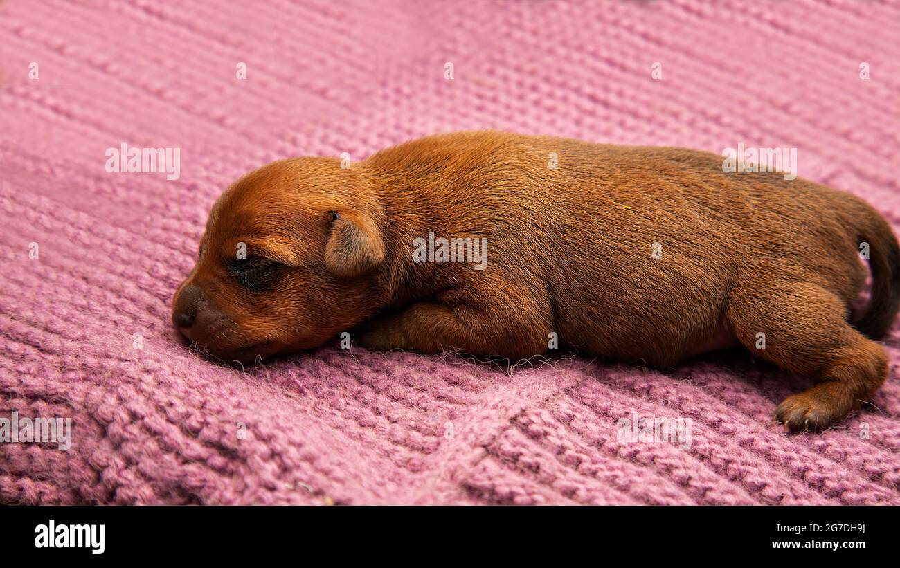 Cozy pretty hires stock photography and images Alamy