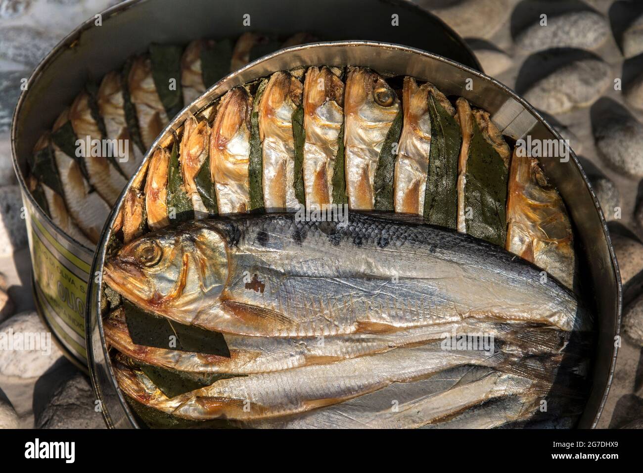 Lake como italy typical fish hi-res stock photography and images - Alamy
