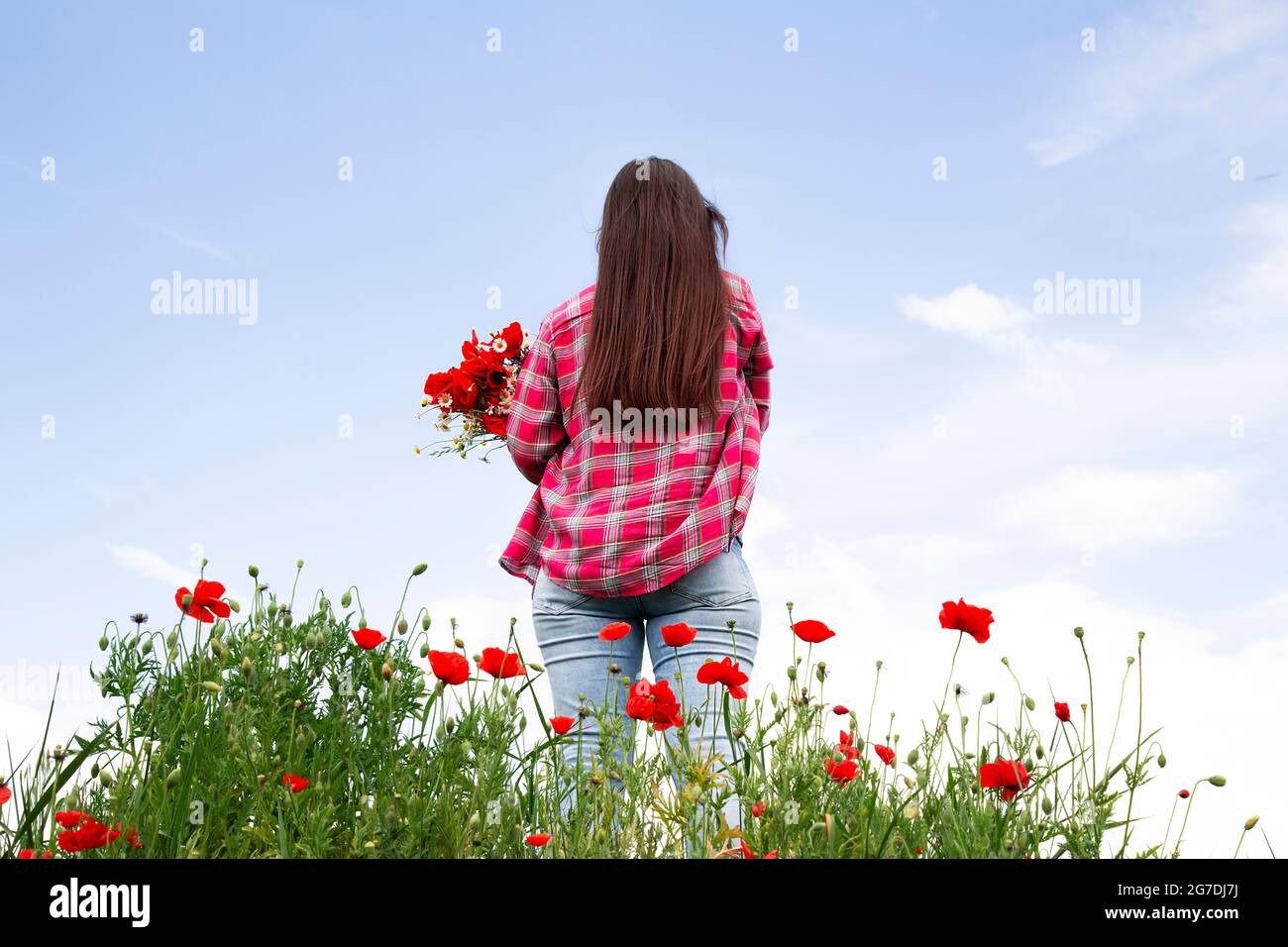 Nature and the field a girl with flowers in her hands on the background ...