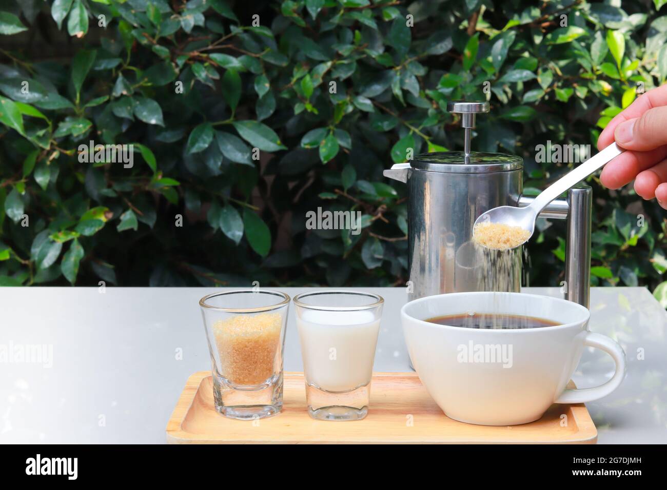 Adding sugar into coffee. Coffee cup set on wooden tray and there are milk and sugar next to it. Table set in the restaurant garden with green leaves. Stock Photo