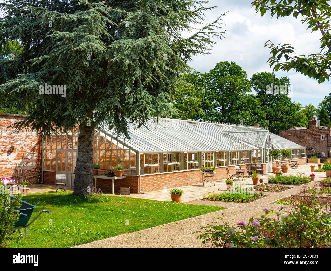The Victorian Greenhouse at the Walled Rose Gardan Wynyard Hall Tees Valley England UK is used for selling household goods and provides a small café Stock Photo