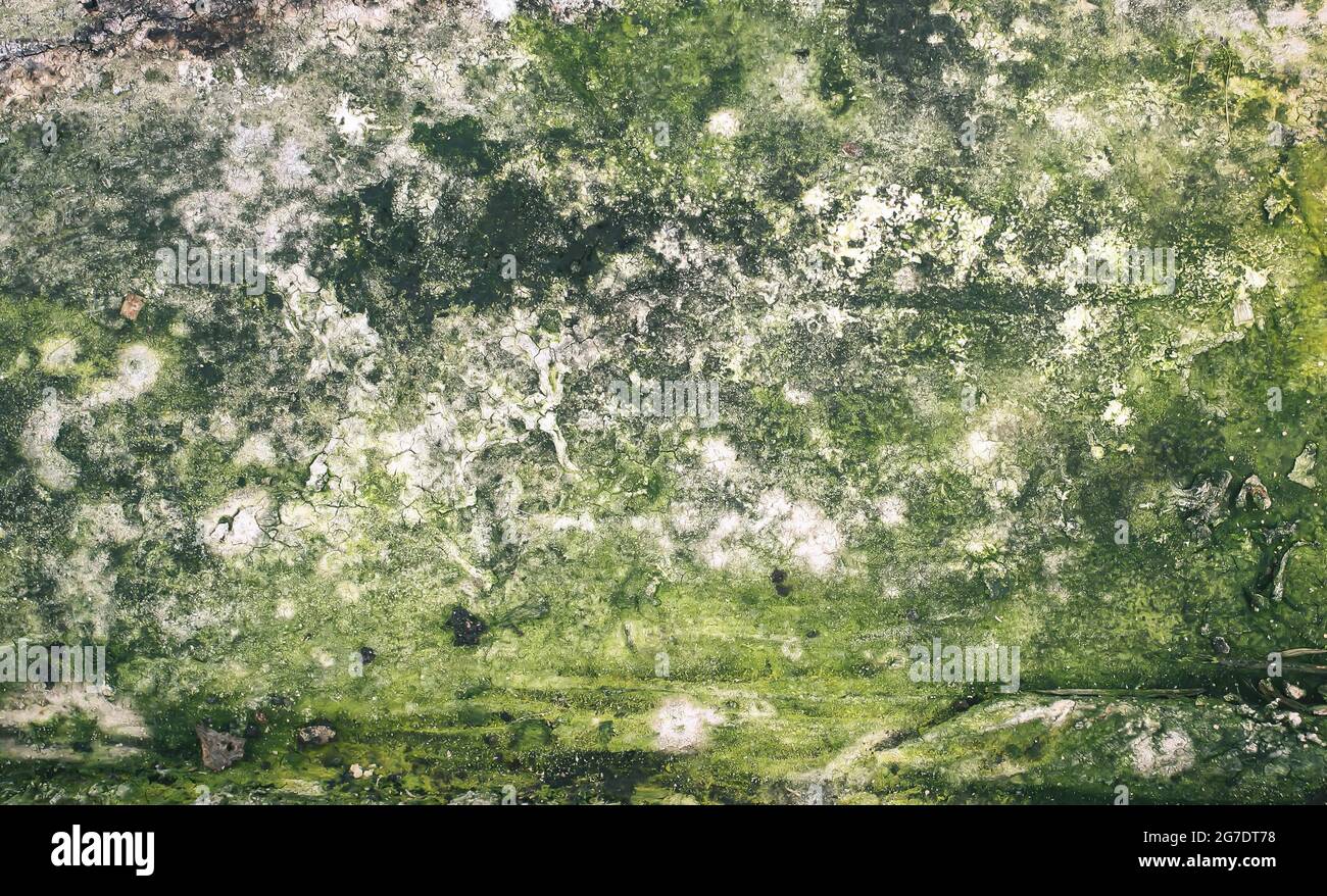 Stone or rock rough texture. Natural background Stock Photo - Alamy