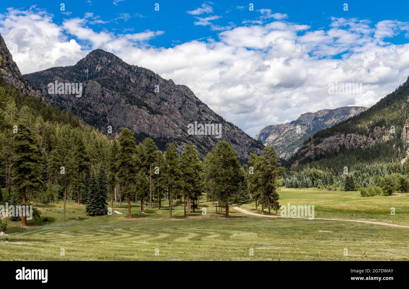 Landscape image with valley leading into the Weminuche wilderness in Southwest Colorado. Stock Photo