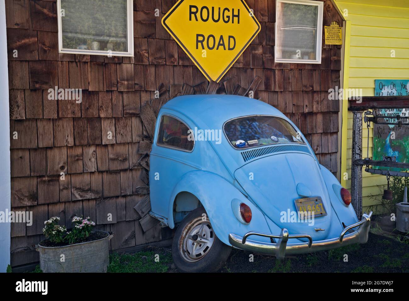 Squashed Bug High Resolution Stock Photography and Images - Alamy