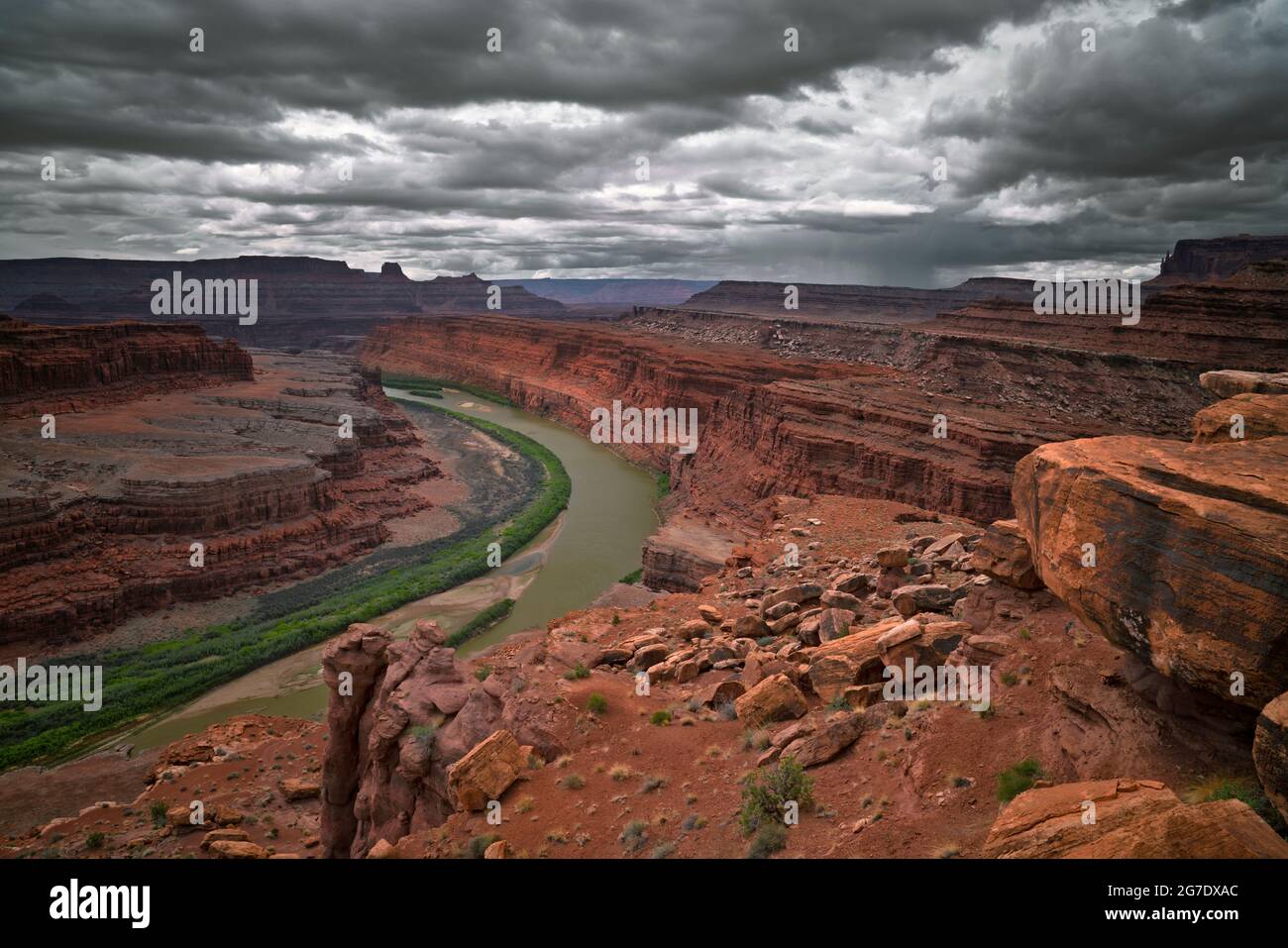 A short hike along the remote White Rim Road offers this incredible view of the Colorado River Gooseneck with morning sunbreaks and showers  over Utah Stock Photo