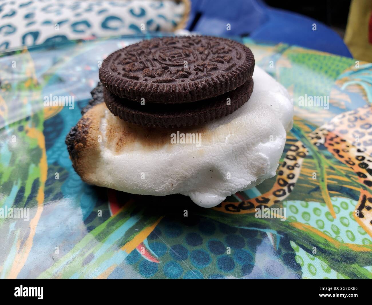 Close-up of Oreo Cookie smore on colorful plate, Lafayette, California, June 7, 2021. () Stock Photo
