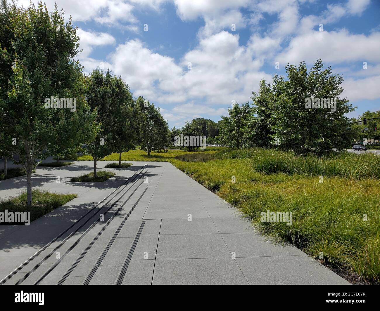 Trees and walkways at City Center Bishop Ranch, San Ramon, California ...