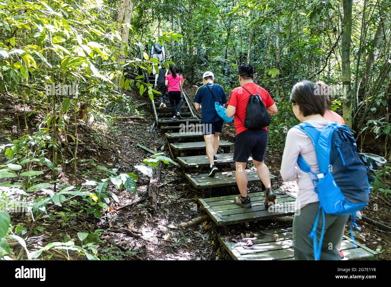 Tourists walking on wooden broadwalk trail at natural and scenic Taman Negara National Park, Pahang Stock Photo