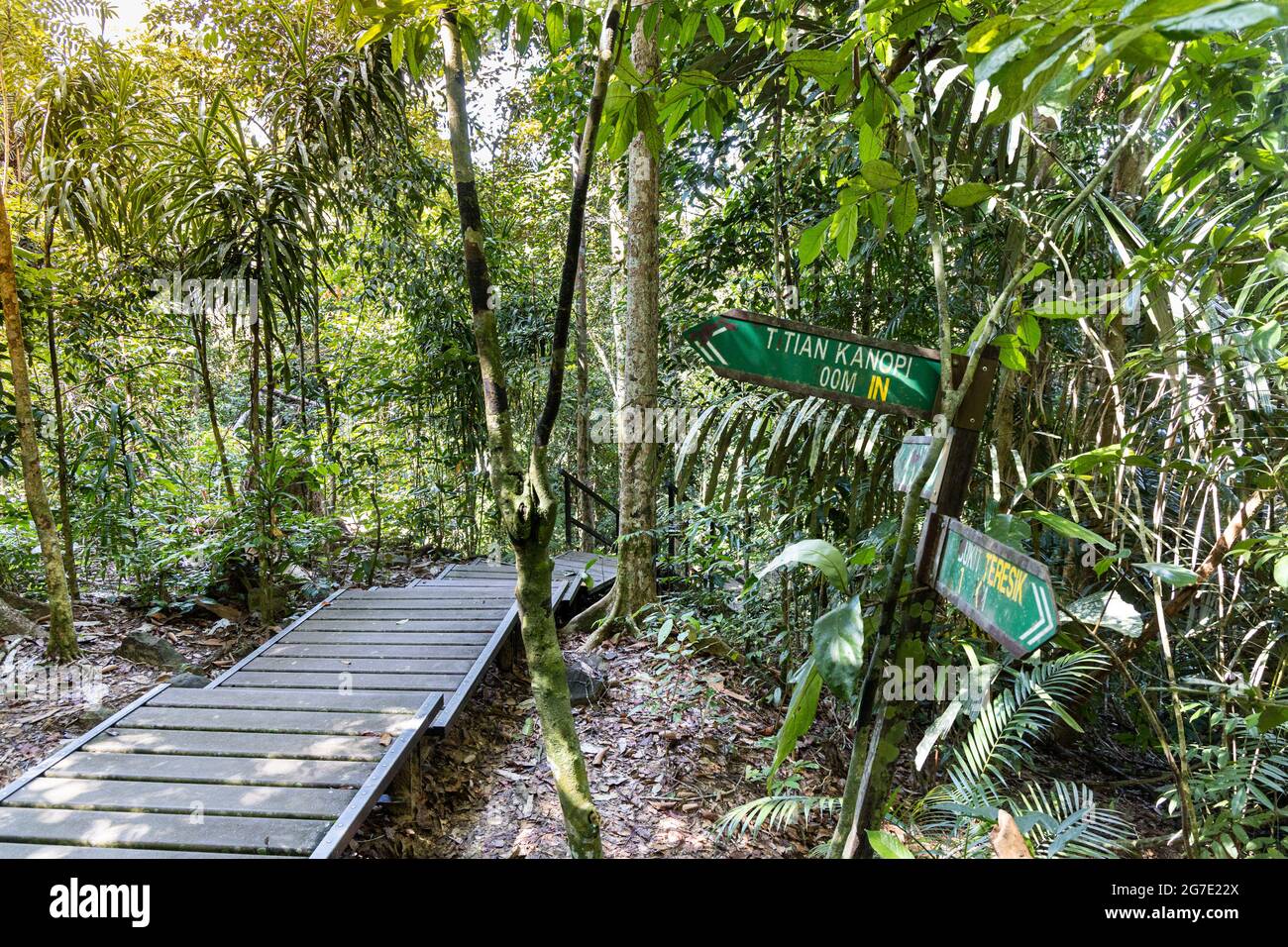 Wooden boadwalk and directional post to Canopy Walk and Teresek Hill at Taman Negara National Park, Pahang Stock Photo