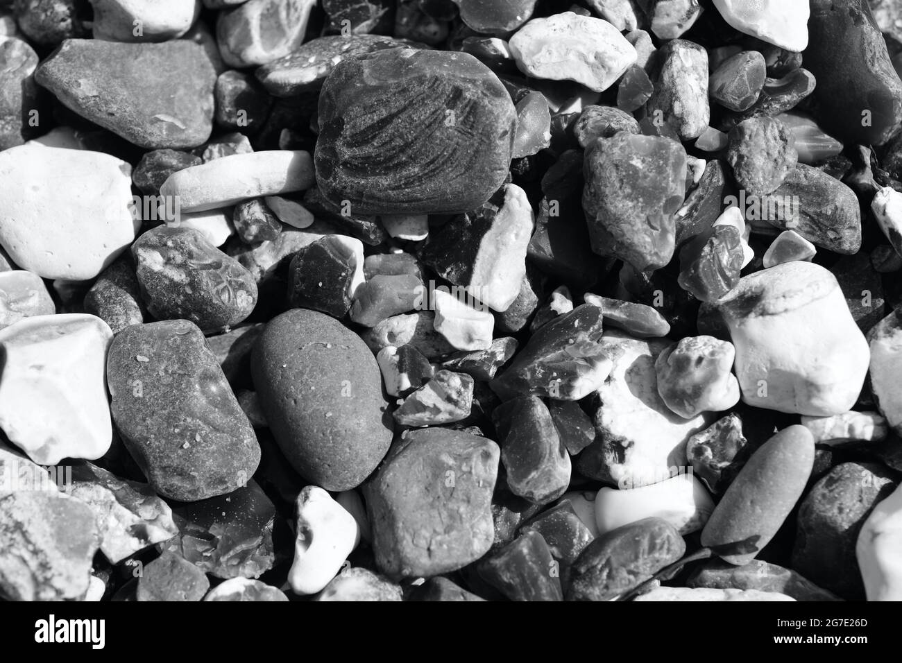 Close up, macro images of the beach at the Birling Gap near Brighton ...