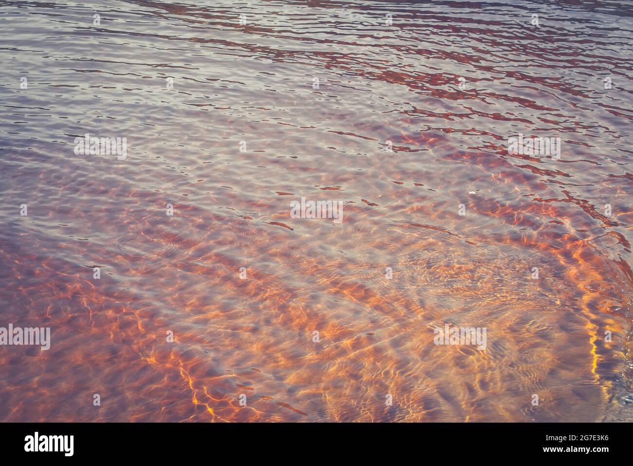 Sea surface in sunlight with small waves. Stock Photo