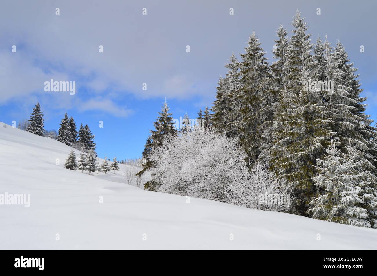 A winter walk around Sarajevo Stock Photo - Alamy