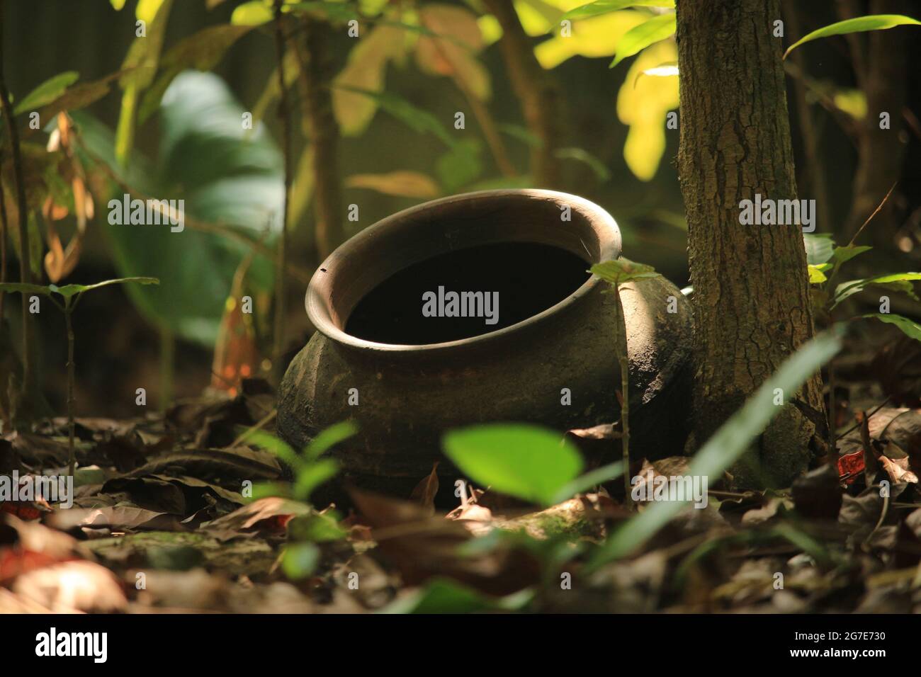 Many old earthen pots are lying in the forest Stock Photo