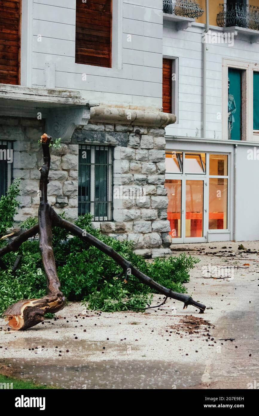 Torbole,Trento, Italy, 13th July 2021. Fallen tree next to the office builing on the Garda coast. Credit: Kasia Gajek/Alamy Live News Stock Photo