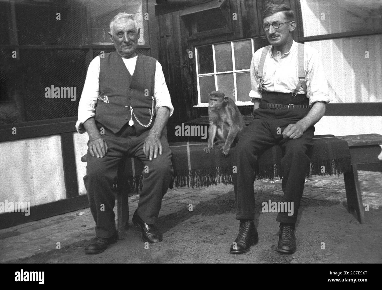 1930s, historical, two working men, possibly farmders, in the traditional male dress of the era, one wearing braces, the older man wearing a waistcoat with a pocket watch on a chain, sitting outside on a rug over a wooden bench with a little monkey sitting with them, Mirfield, Yorkshire, England, UK Stock Photo