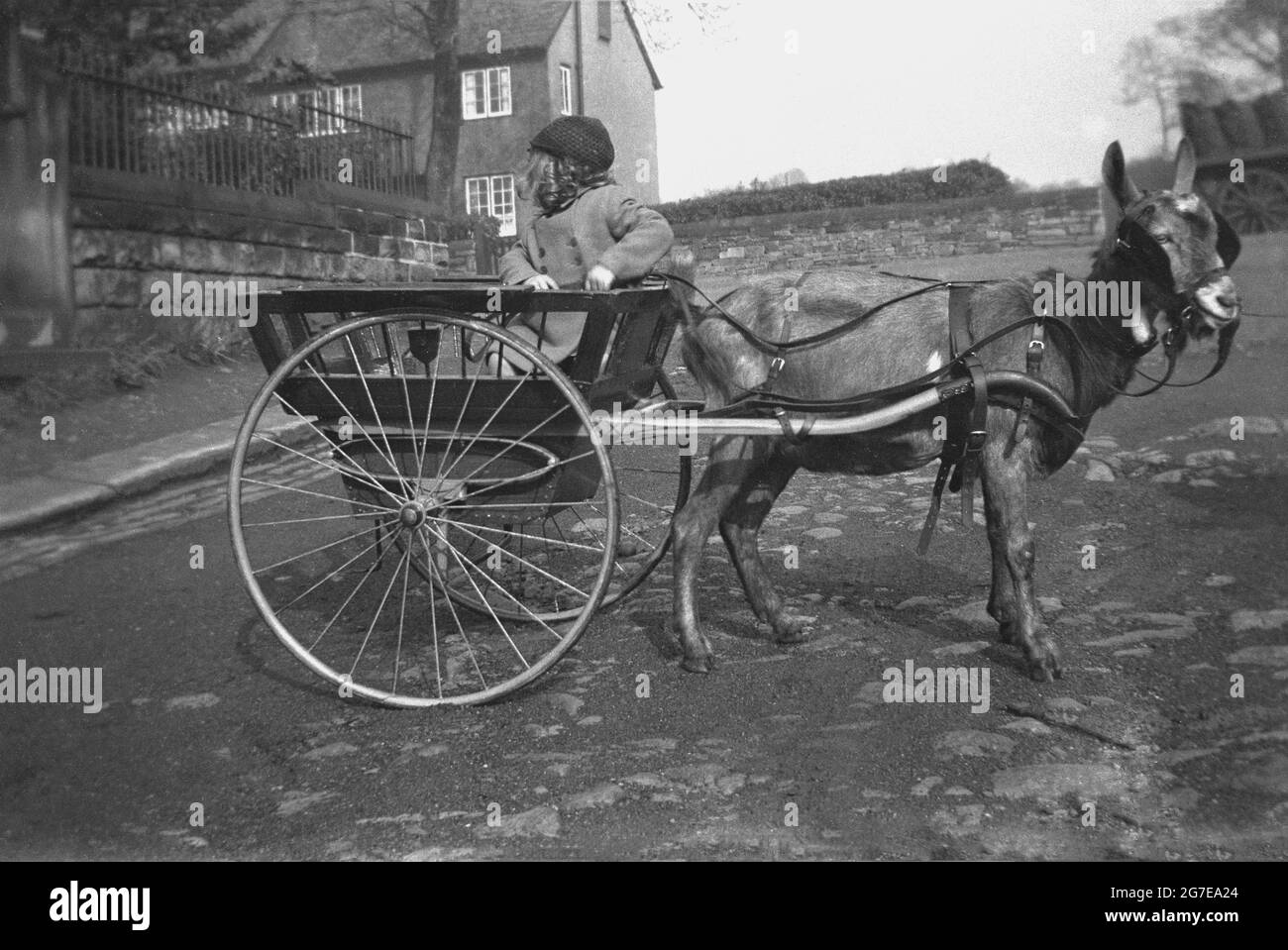 1920s, historical, a young child in a coat sittmg in a two-wheeled cart pulled by a goat, England, UK. At this time, it would have been normal to see a goat cart on the streets, particuarly in rural villages. Many families owned a goat cart or carriage for their children to use, from the lower classes all the way up to nobility. Stock Photo