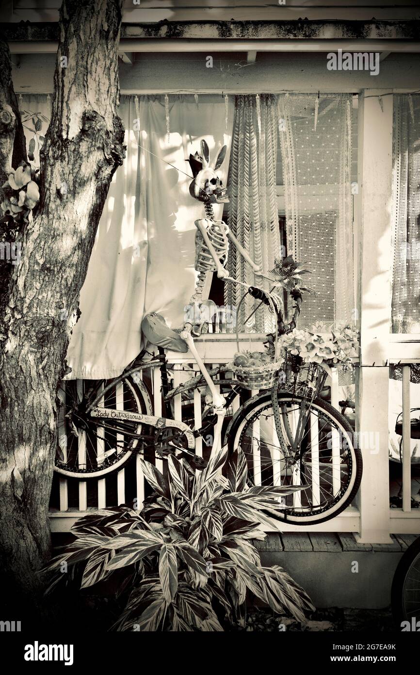 Human skeleton riding bicycle in humorous display outside house in Key West, Florida, FL, USA Stock Photo