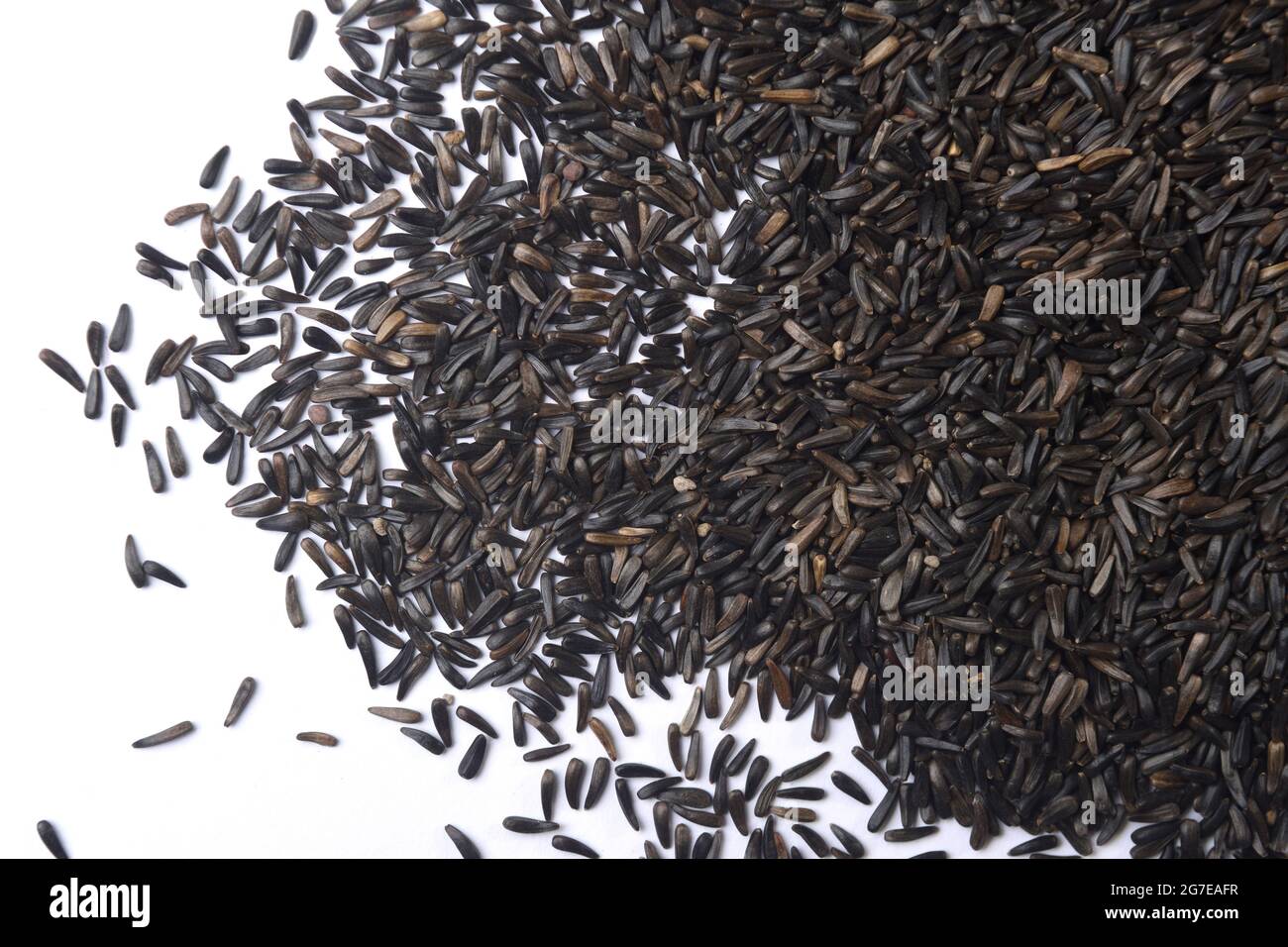 Guizotia abyssinica. Niger seeds on white background Stock Photo