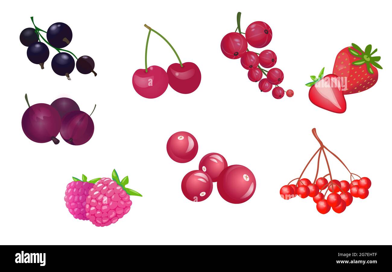 Vector set of garden berries Stock Vector Image & Art - Alamy